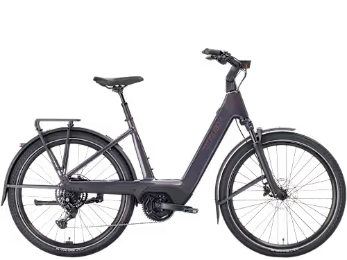 Trek Charter+ 4