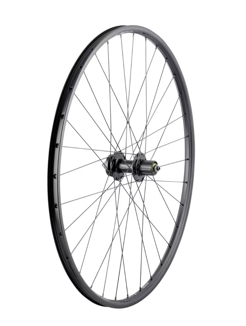 Bontrager Connection 29 Rear Wheel 6 Bolt Disc Threaded Freewheel