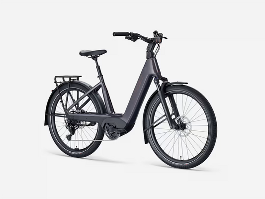 Trek Charter+ 4