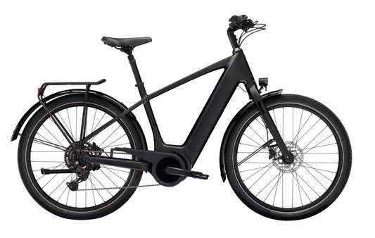 Trek Verve+ 3 Gen 3 Stepover