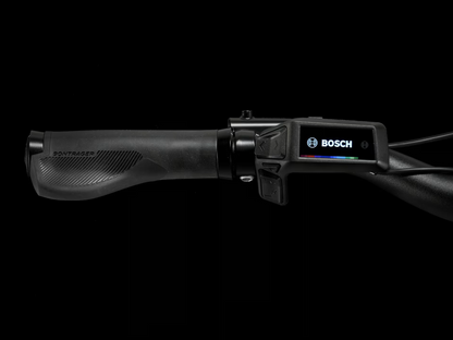 Trek Verve+ 3 Gen 3 Stepover