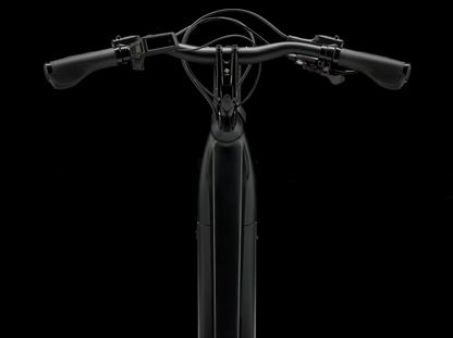 Trek Verve+ 3 Gen 3 Stepover